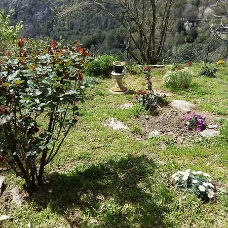 Nazza Villa *