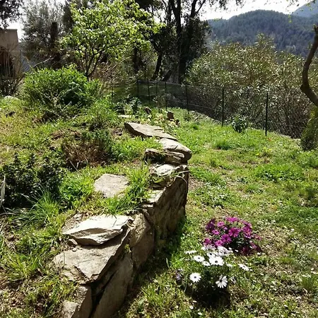 Nazza Villa *